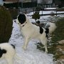 ���±PÃ��ÁÂ��j"H03´pDF´÷âp{� pÑI�����ÍÍ��ÌL}}²1